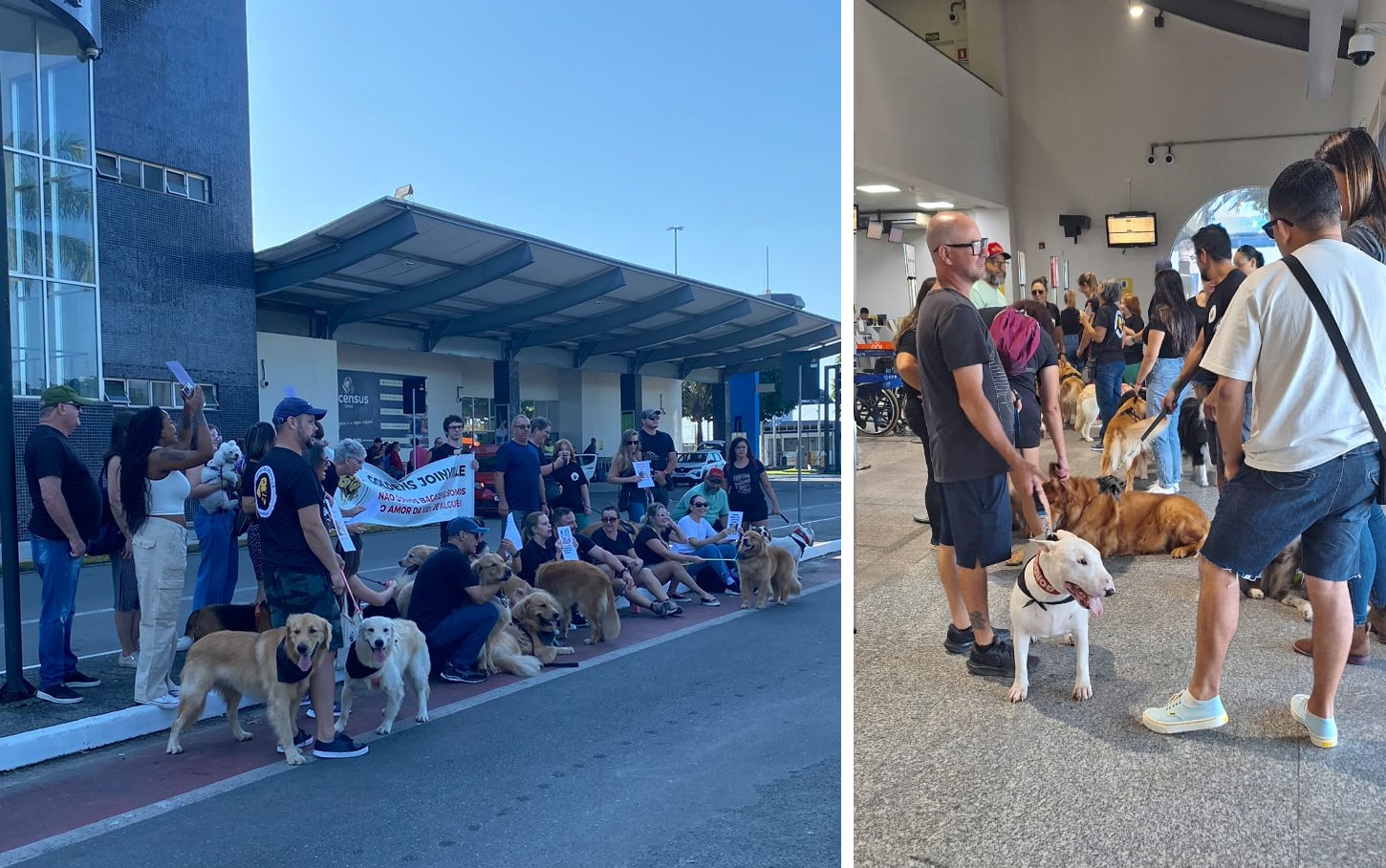 Justiça por Joca: tutores realizam protesto no Aeroporto de Joinville